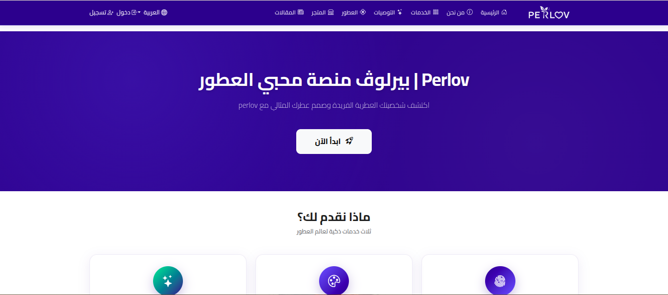 صورة من المشروع 2